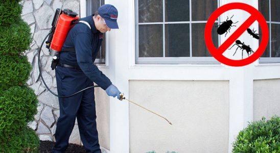 Tepebaşı Akrep İlaçlama böcek ilaçlama ve haşere kontrolü — ilaclama-tr.com